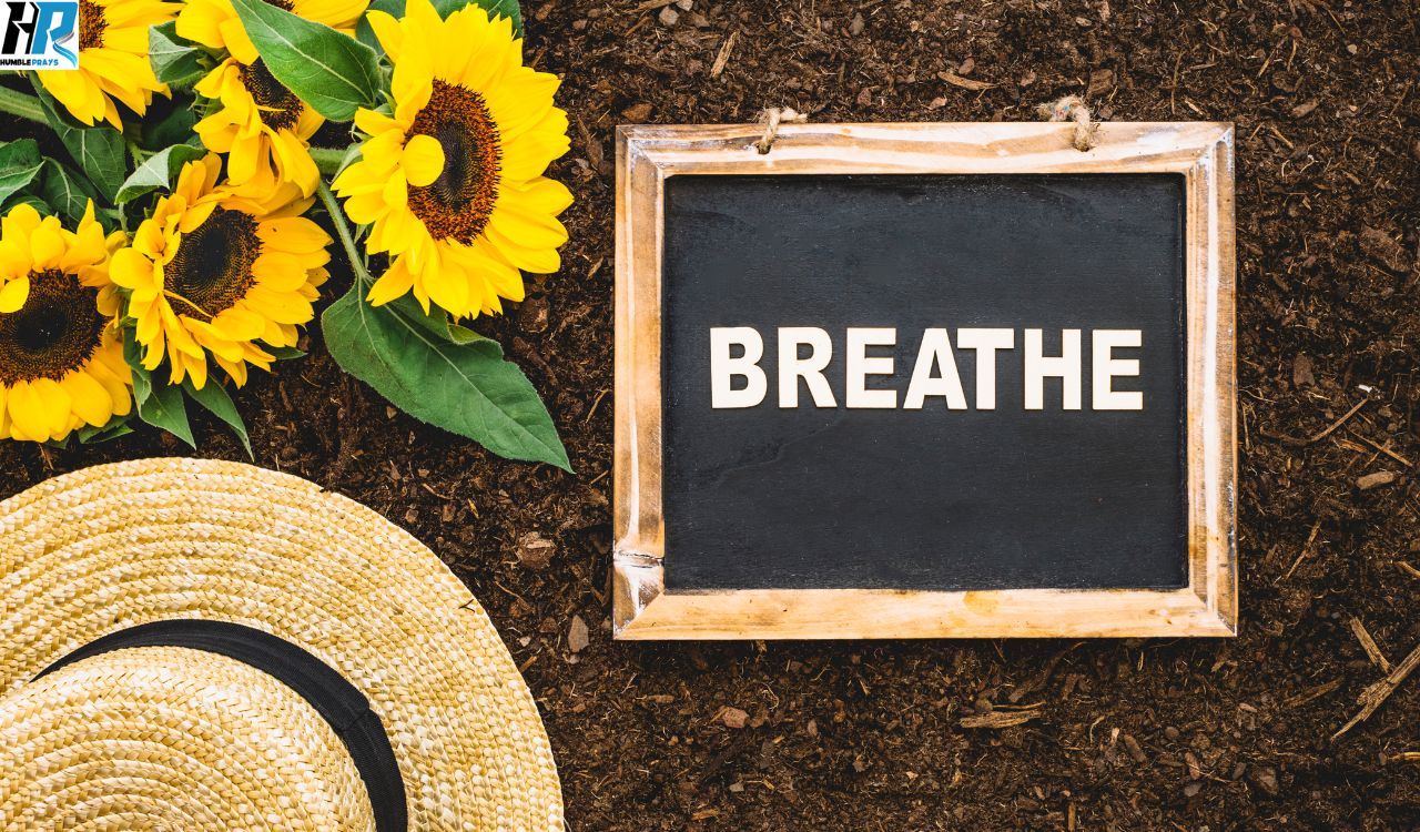 Good Afternoon Friday Blessings Images to Inspire You